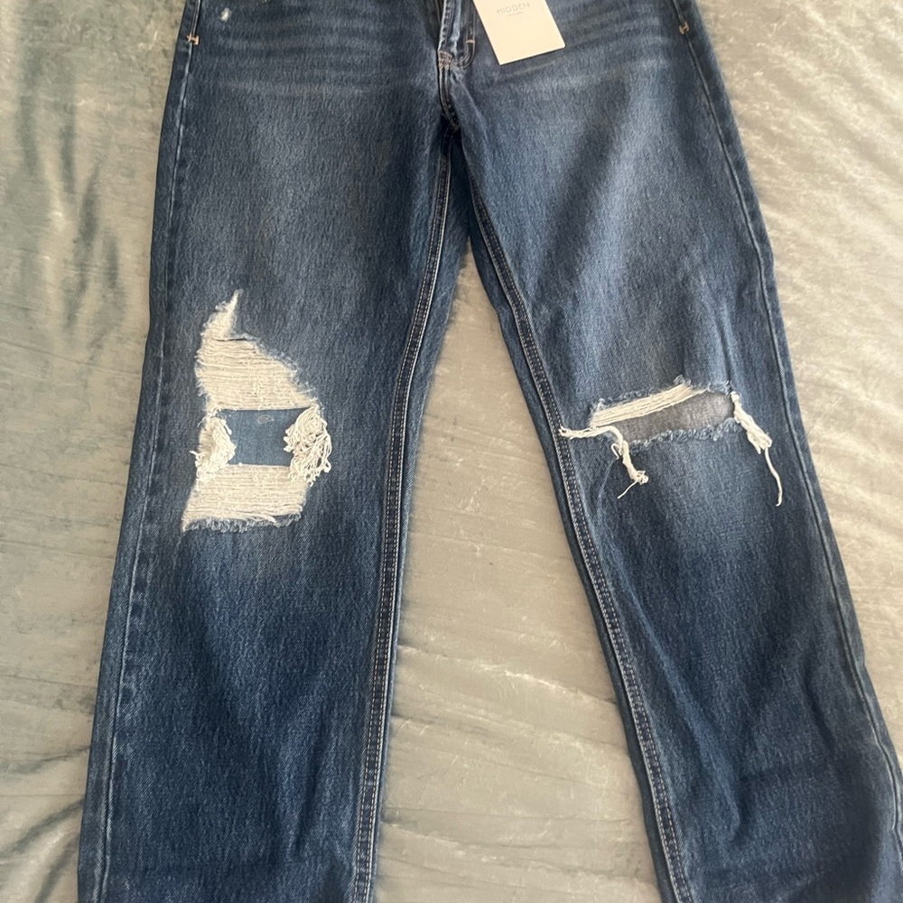 Women’s Blue Distressed Jeans. Purchased at Vici
